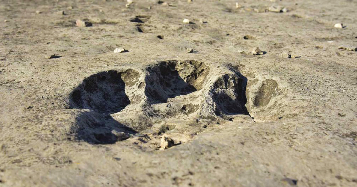 Dinosaurs' Plateau: Amazing Discovery in Turkmenistan | Hazar Merjeni Travel