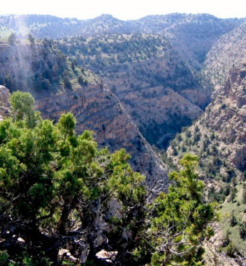 The Koytendaga Mountains